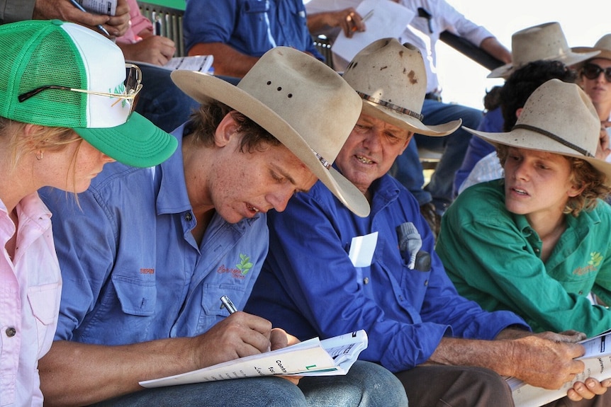 Four cattle buyers from Larrawa Station survey the paperwork for the bulls for sale.