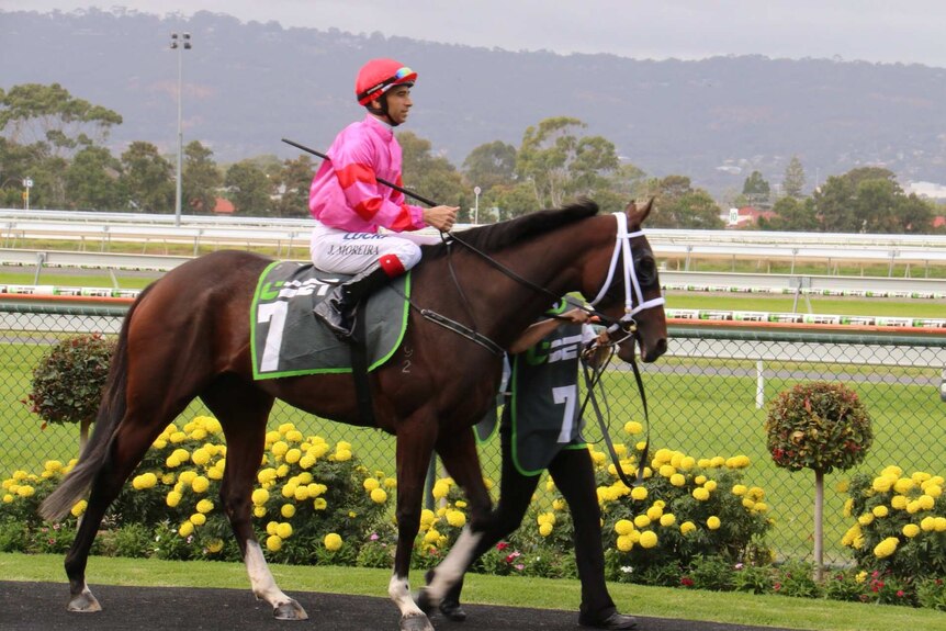 Joao Moreira racing for the first time in South Australia.
