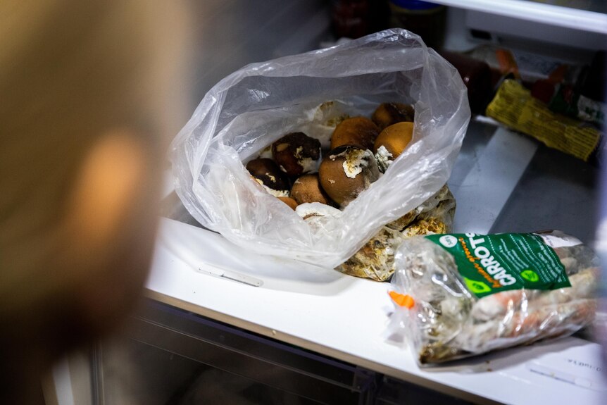 Mouldy food in plastic bags, including carrots and oranges, sitting in a fridge.