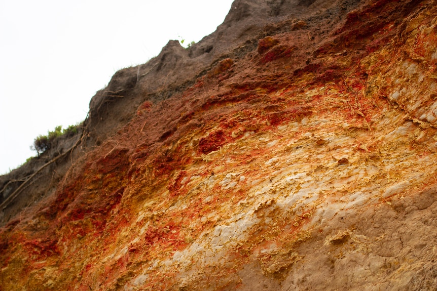 A close up of a red and orange cliff face. 