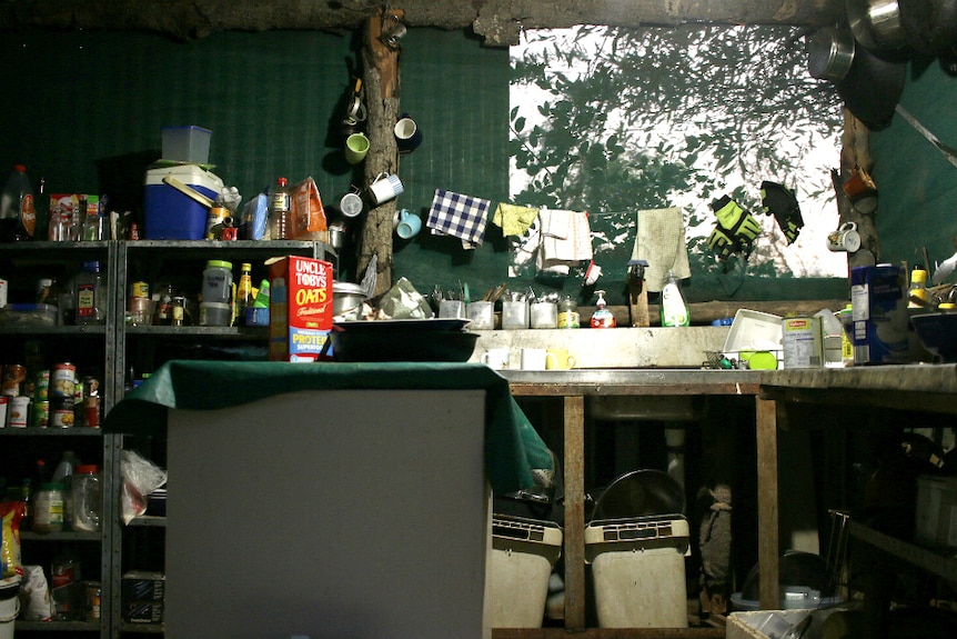 A photo of Don McLeod's kitchen, with cups, pots and items on shelving visible.