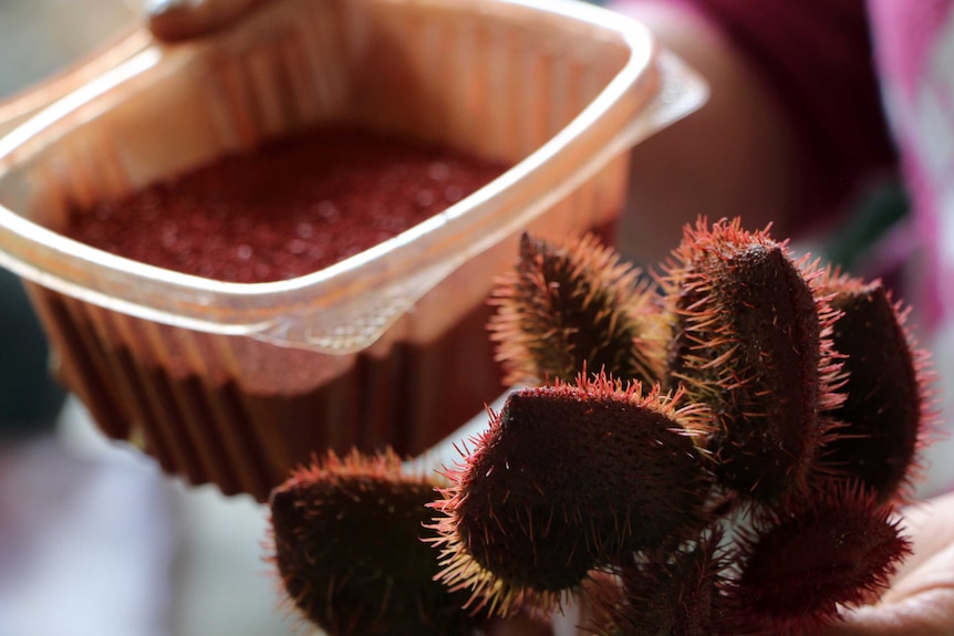 A pink plant ground up for food colouring