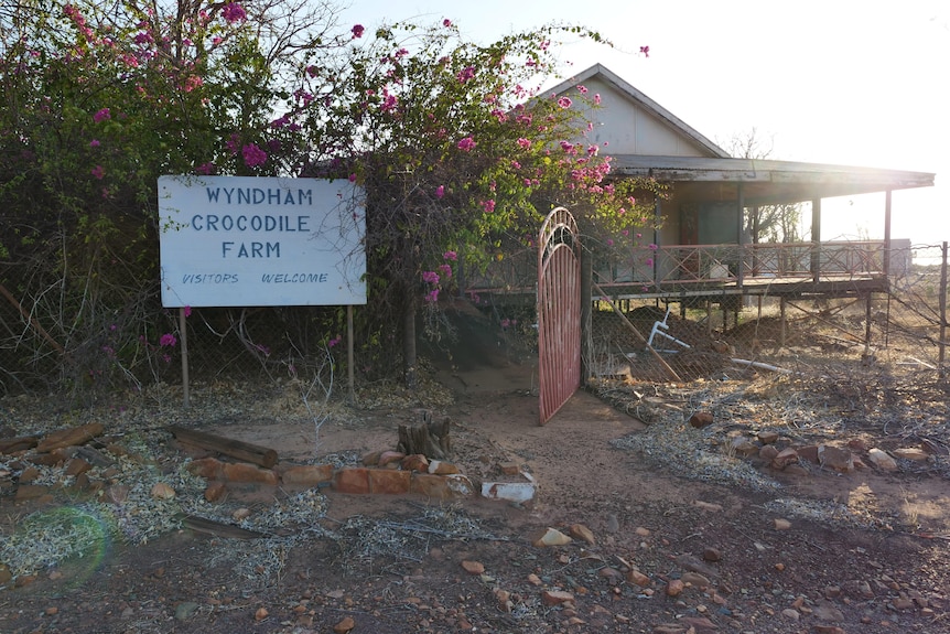 A rundown building with a sign out the front saying 'Wyndham Crocodile Farm'