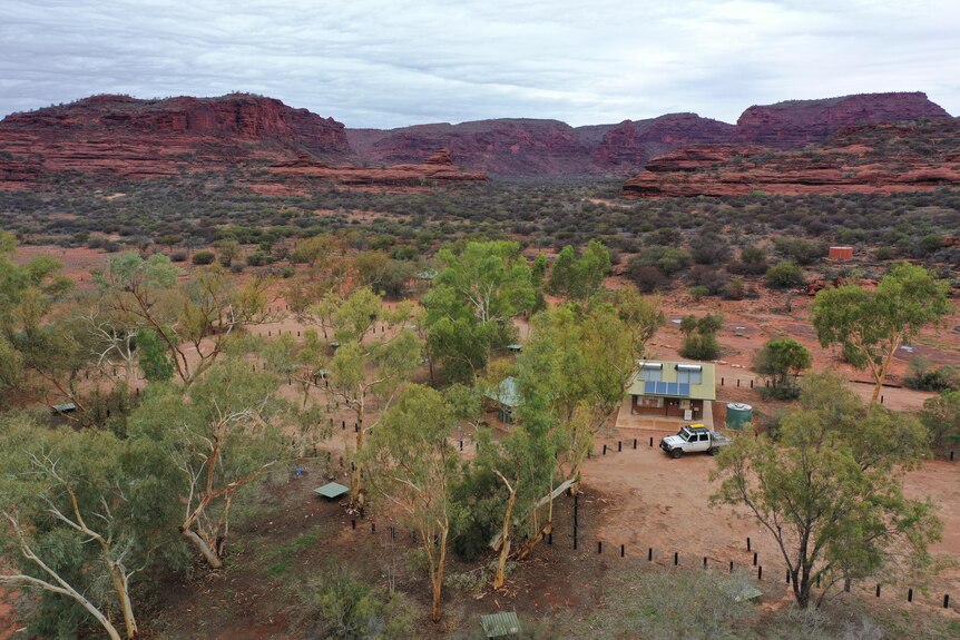 Palm Valley campground at Finke Gorge National Park 138 km west of Alice Springs.