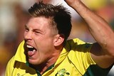 James Faulkner of Australia celebrates after taking a wicket during the 2015 Cricket World Cup final.