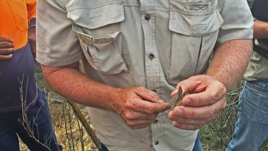 Graham Stockfeld holds a piece of turtle shell.