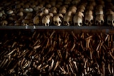 You view two shelves, the top carrying rows and rows of skulls, with the bottom carrying numerous limb bones.