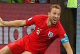 Harry Kane celebrates second goal against Tunisia