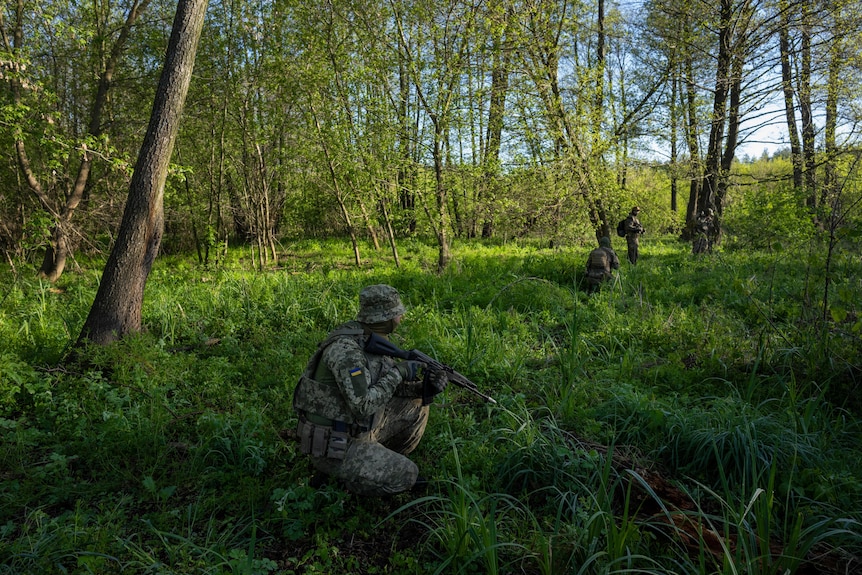 A Ukrainian soldier crouches in grass as soldiers train in Ukraine's forests