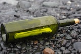 Bottle on shore with message inside.