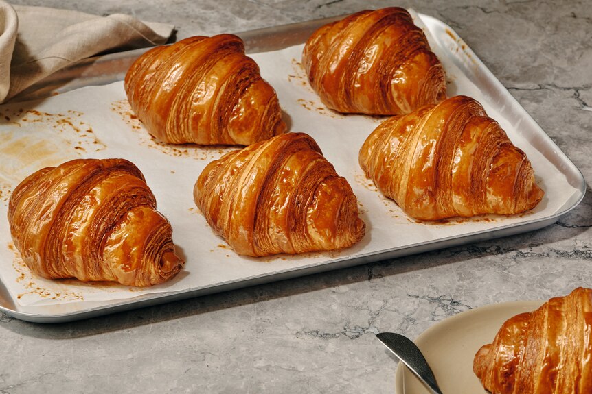 A tray of meticulously made croissants