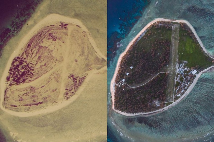 a before and after photo of lady elliot island