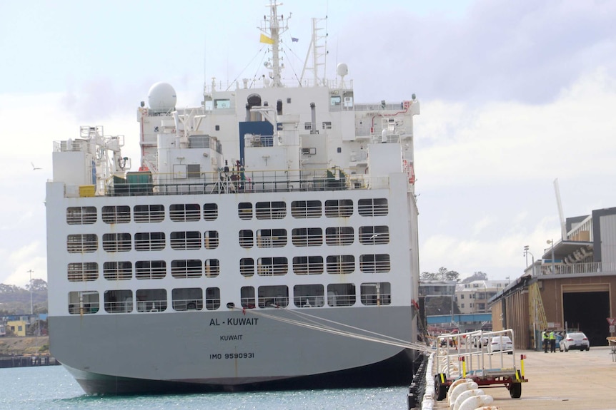 A grey and white live export ship photographed from behind sitting in dock at Fremantle Port.