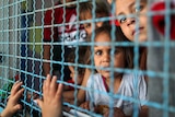 Palestinian children look through a window fence at a United Nations-run school where they take refuge, in Gaza Cityo