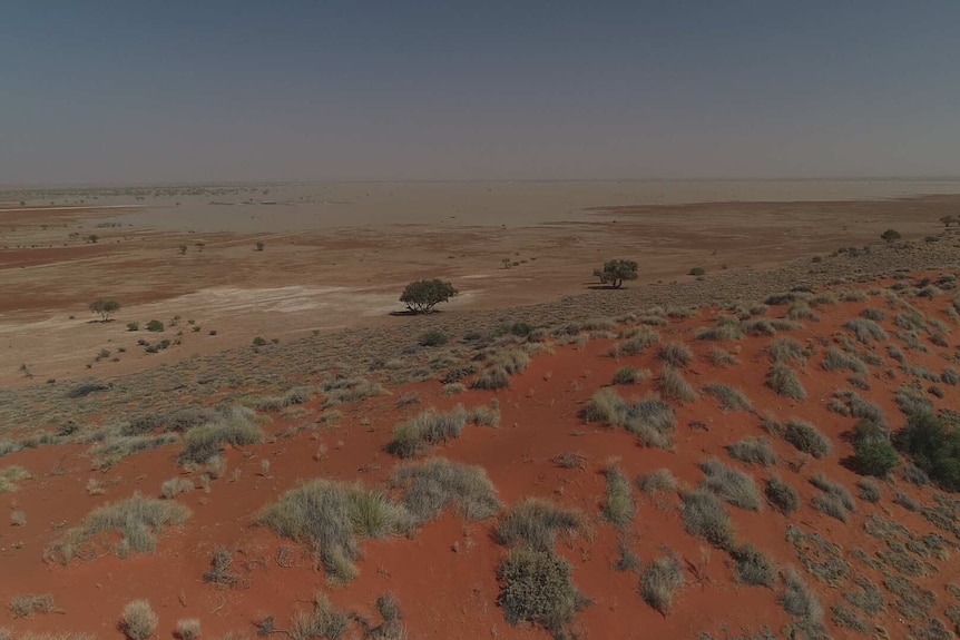 A red dune dotted with spinifex with an expanse of floodwater in the background.