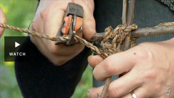 Secateurs cuttinghand-made twine in the garden. Has Video.