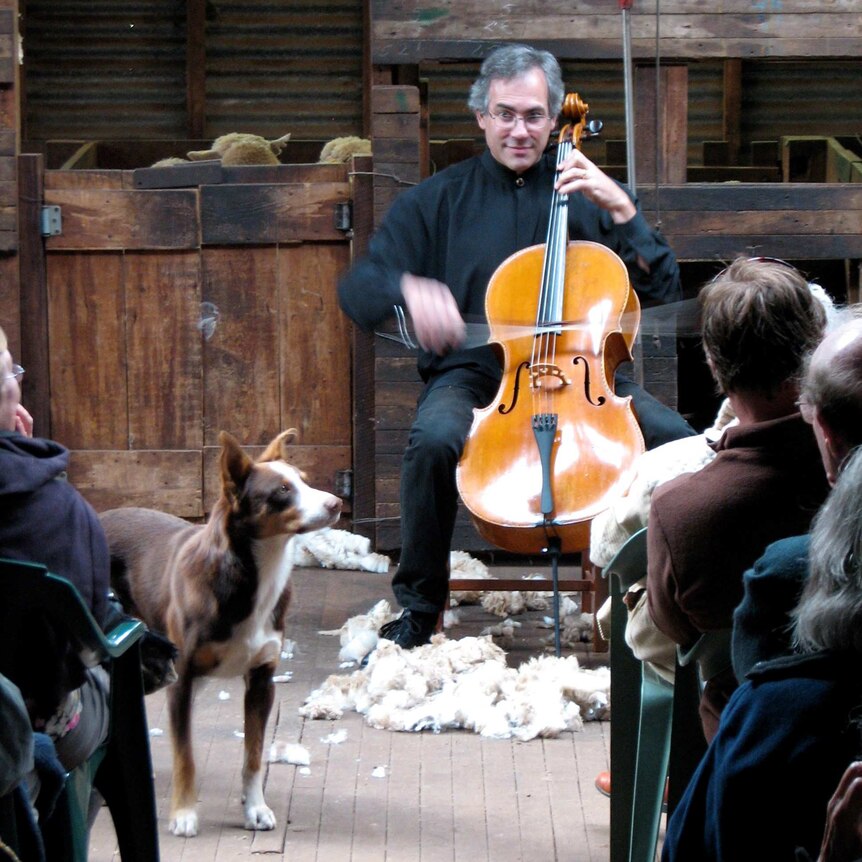 A photo of Michael Goldschlager performing in a sheep barn.