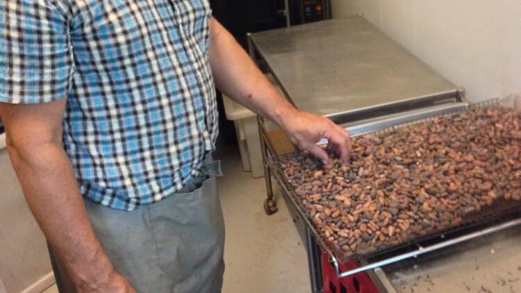 Gold Coast chocolate maker Peter Mengler with a tray of cacao beans
