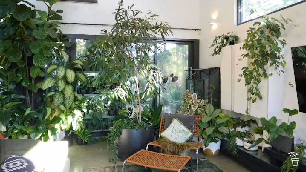 The Wild Inside - Gardening Australia