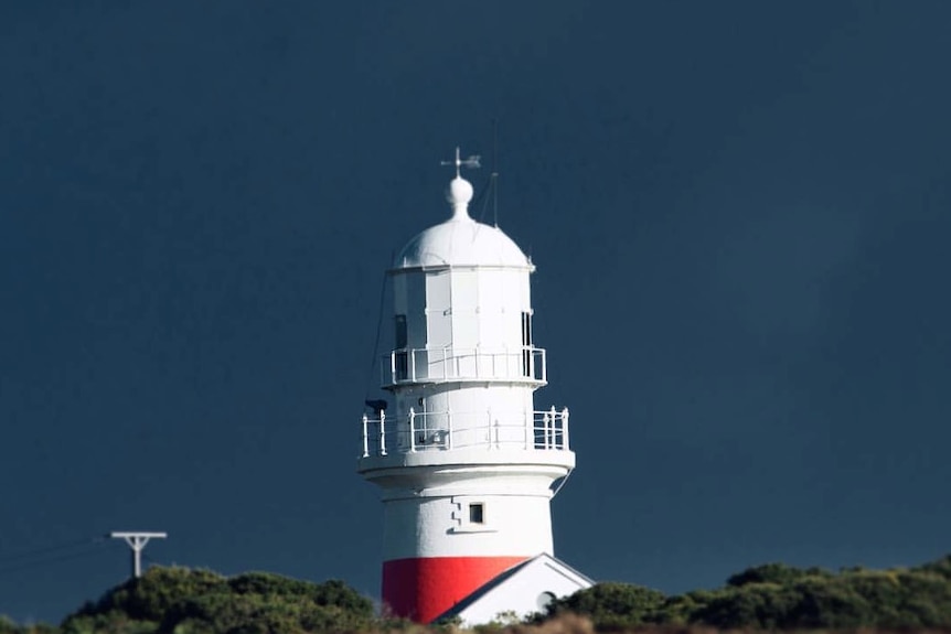 White and red Lighthouse surrounded by vegetation
