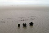 Cattle yards on the Karumba Plains sit in floodwaters