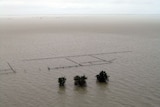 Cattle yards on the Karumba Plains sit in floodwaters