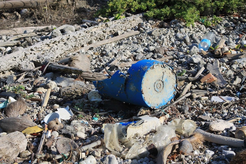 Part of a drum among the debris on Chilli Beach