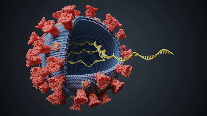 A blue sphere covered in red spikes with a yellow strand of genetic material unspooling from inside