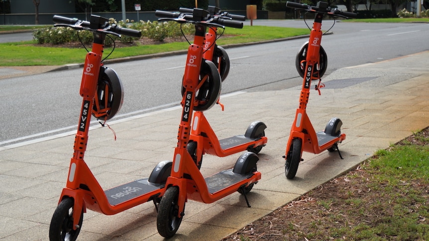 Orange e-scooters lined up in Kings Park 