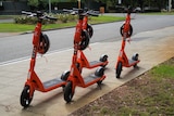 Orange e-scooters lined up in Kings Park 