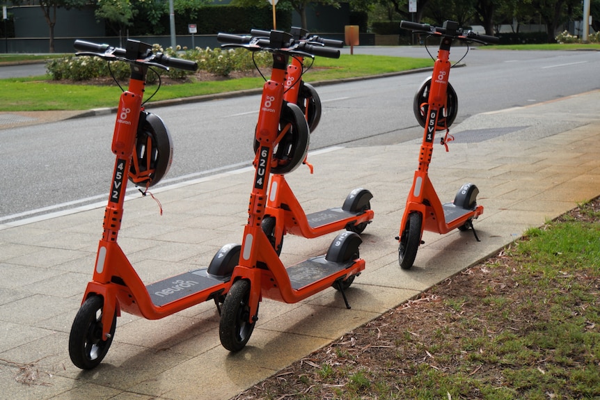 Orange e-scooters lined up in Kings Park 