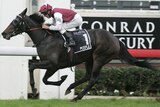 Purple races to victory in the Queensland Oaks