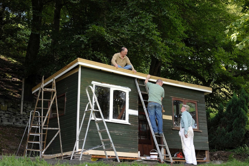 Four Ladders, Three Men and a Shed