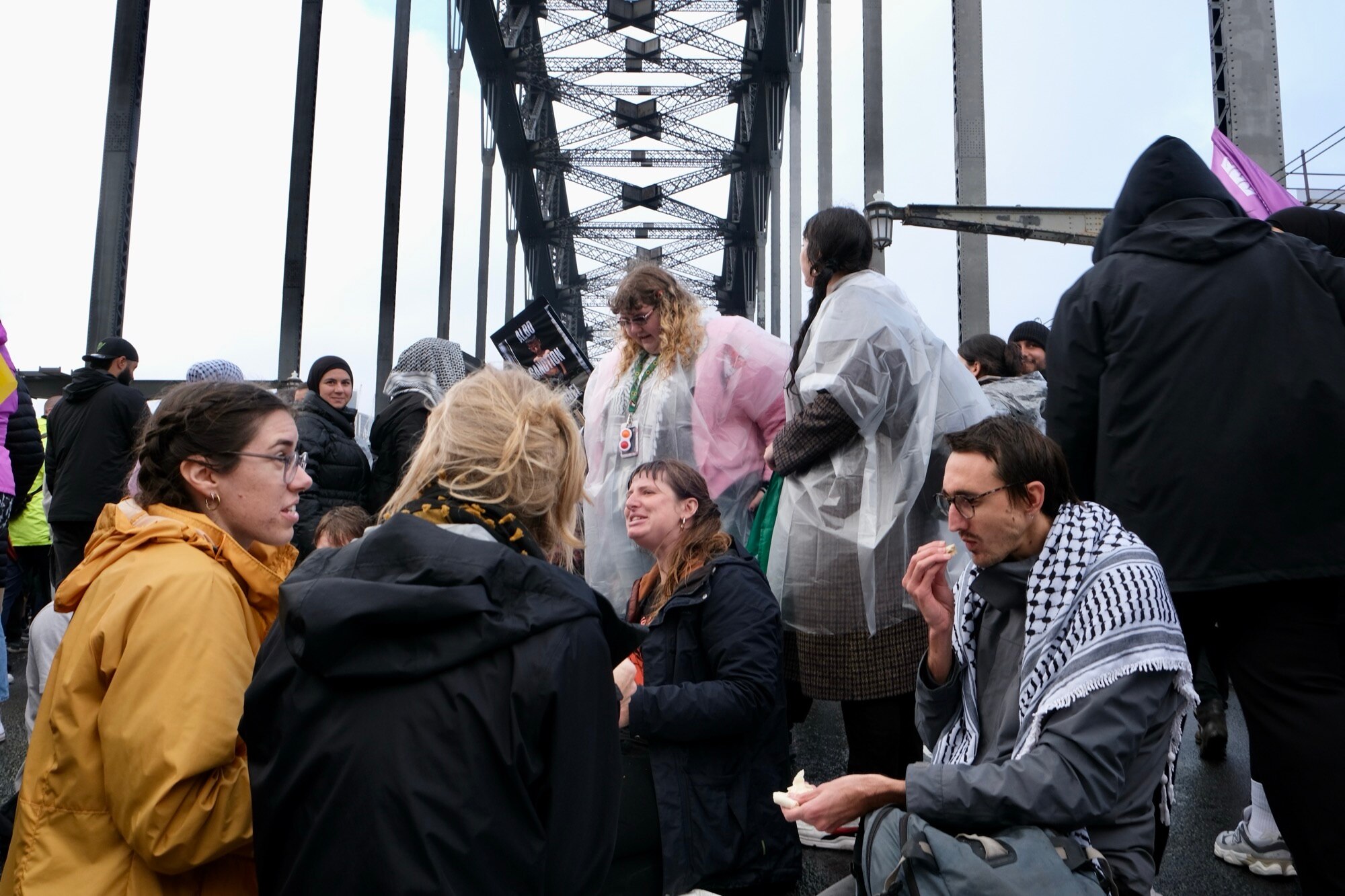 Pro-Palestine supporters on the harbour bridge
