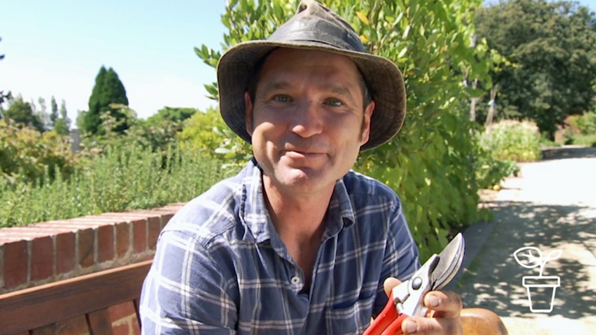 Man outdoors holding a pair of garden secateurs