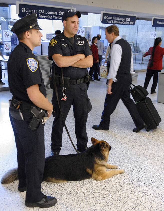 JFK 'bomb plot' suspect at large - ABC News