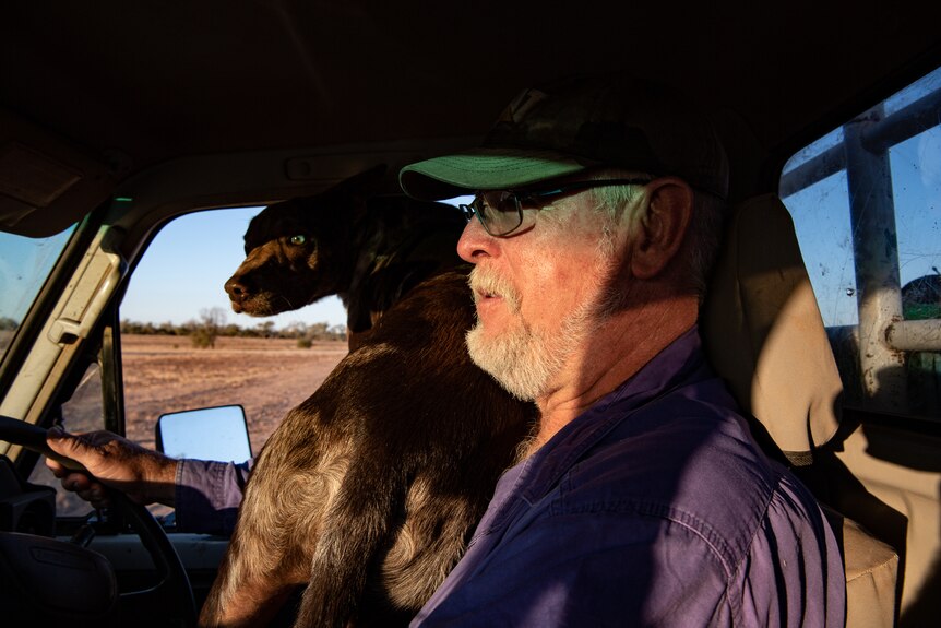 Angus Emmott is driving a ute with a brown farm dog on his lap.
