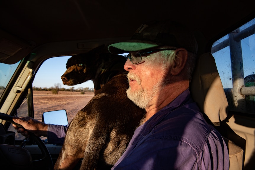 Angus Emmott is driving a ute with a brown farm dog on his lap.