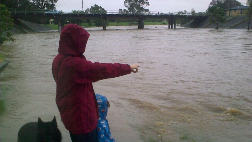 A family stands beside flooded Kedron Brook on Brisbane's northside.