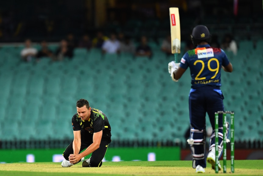 Bowler take a lown catch to dismiss a batter