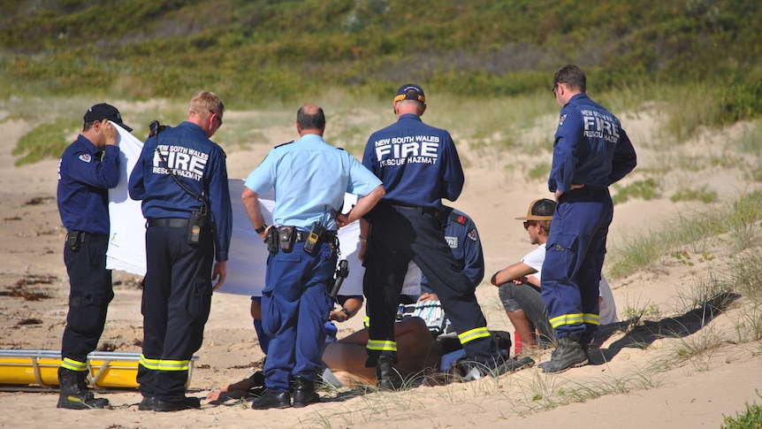 A surfer has been injured after colliding with a dolphin near Bawley Point on the NSW south coast