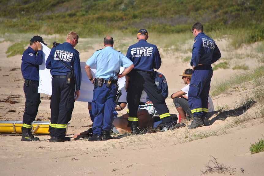 A surfer has been injured after colliding with a dolphin near Bawley Point on the NSW south coast