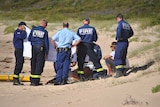A surfer has been injured after colliding with a dolphin near Bawley Point on the NSW south coast