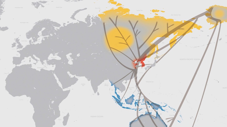 Shorebirds migration map