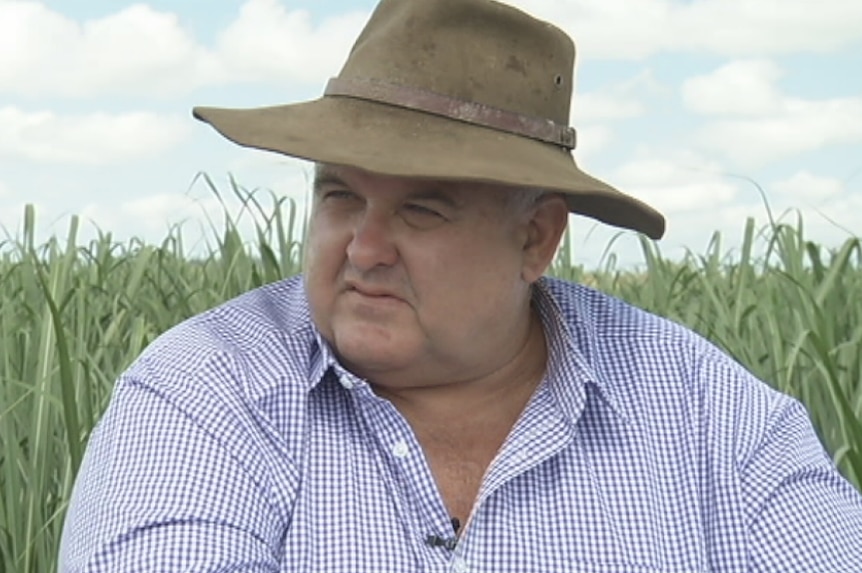 Farmer Allan Parker at his cane farm in Queensland's Burdekin region.