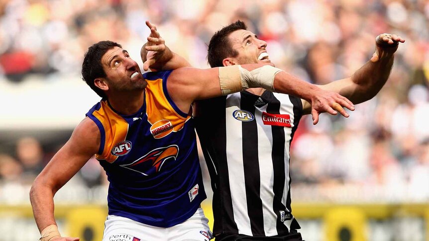 Close contest ... The Eagles' Dean Cox competes for a boundary throw-in with Collingwood's Darren Jolly.