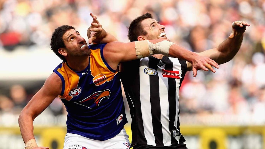 Close contest ... The Eagles' Dean Cox competes for a boundary throw-in with Collingwood's Darren Jolly.