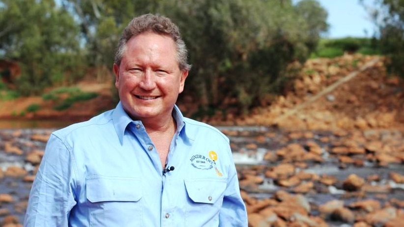 Andrew Forrest stands in the desert, smiling.