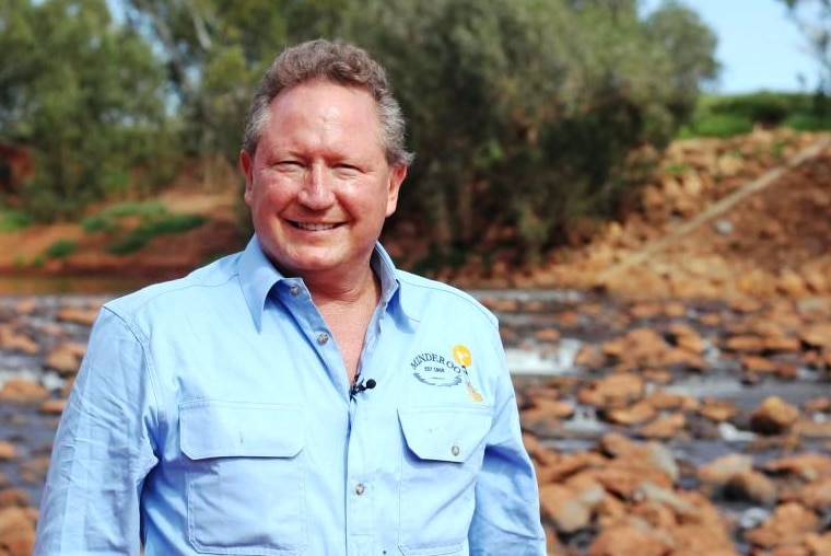 Andrew Forrest stands in the desert, smiling.