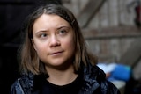 a close up of greta thunberg's face, with short hair and brown eyes. 